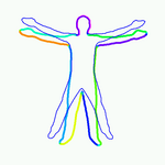 human body semilocal rigidification