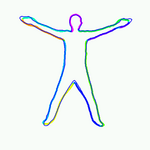 human body semilocal rigidification