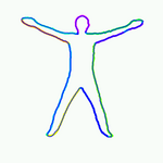 human body semilocal rigidification