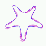 starfish shape statistics