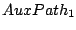 $ AuxPath_1$