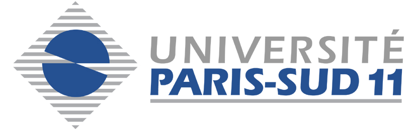 logo P11