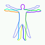 human body semilocal rigidification
