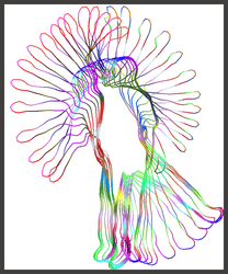 correspondence flow between two shapes