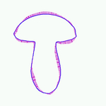 boletus shape statistics