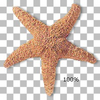 star example