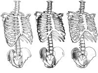 Isenberg et al., 2006b