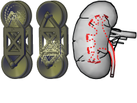 Neumann et al., 2006a