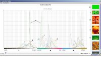 Schneidewind et al., 2004